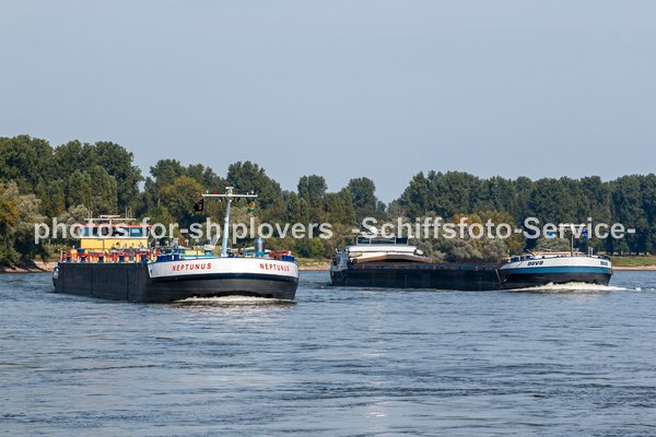 NEPTUNUS_DUVO-01-010924-07